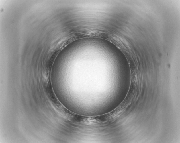 X0000088880607200706221816