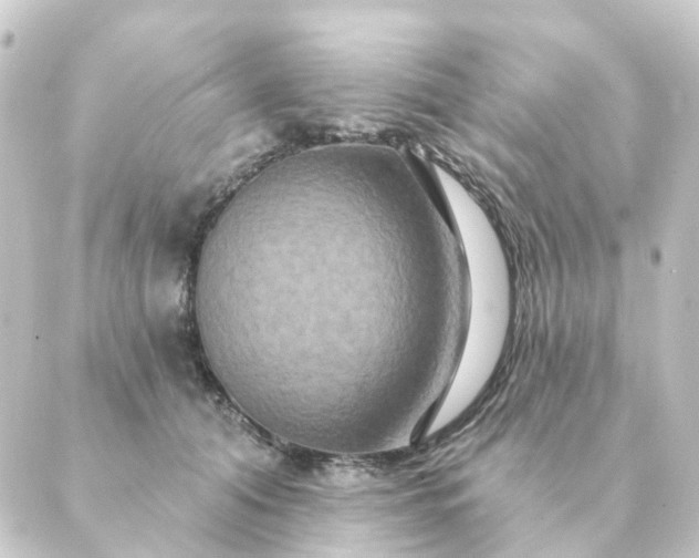 X0000088880608200706221816