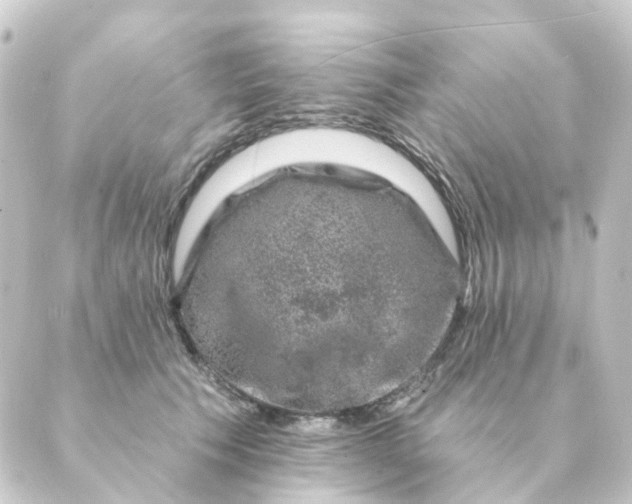 X0000088880609200706221816