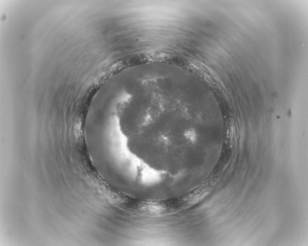 X0000088880610200706221816