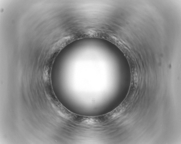 X0000088880611200706221816