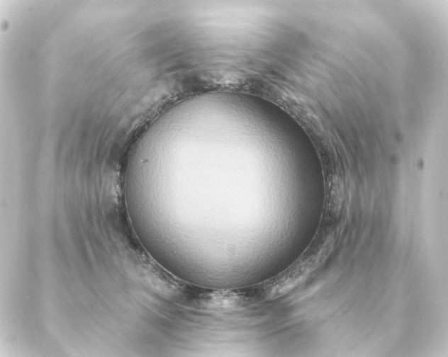 X0000088880612200706221816