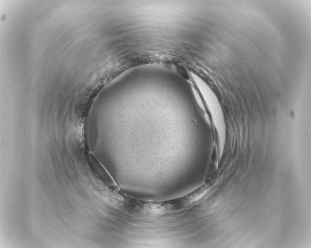 X0000088880613200706221816