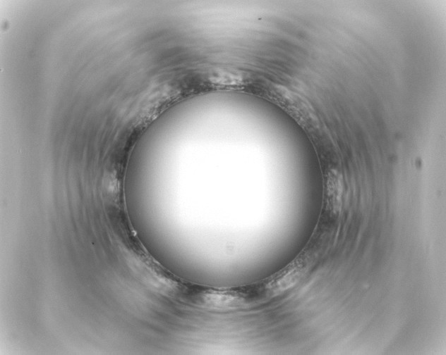 X0000088880614200706221816