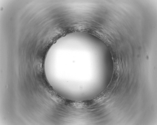 X0000088880615200706221816