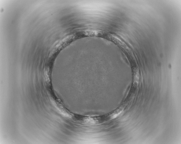 X0000088880616200706221816