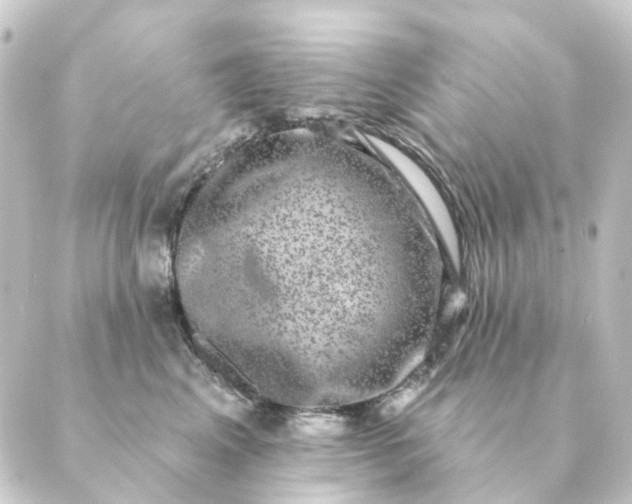 X0000088880617200706221816