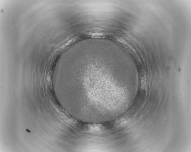 X0000088880618200706221816