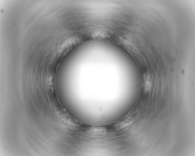 X0000088880619200706221816