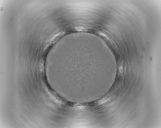 X0000088880620200706221816