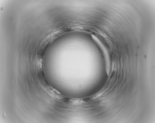 X0000088880621200706221816