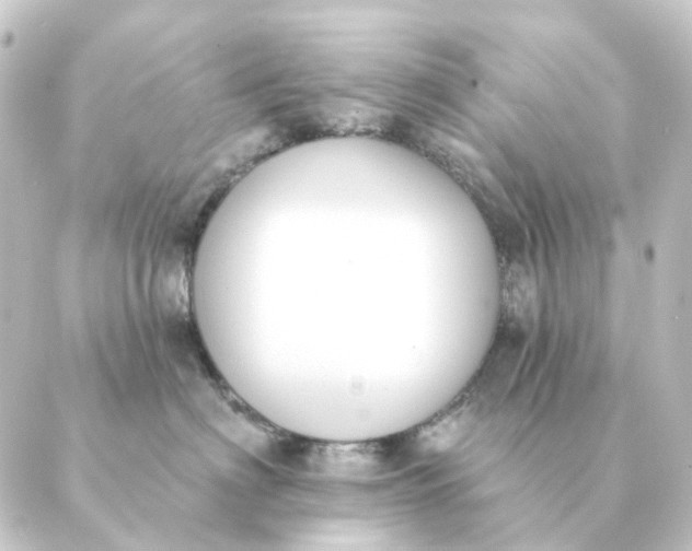 X0000088880622200706221816