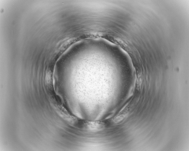 X0000088880623200706221816