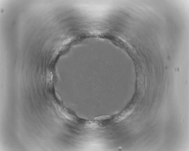 X0000088880624200706221816