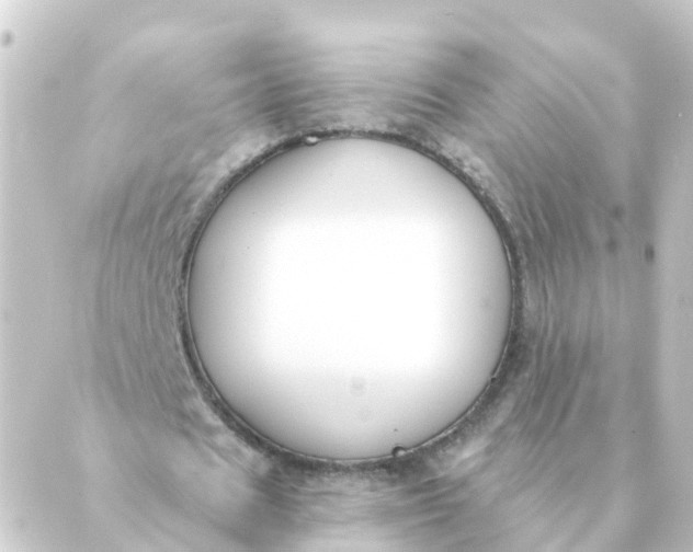 X0000088880625200706221815