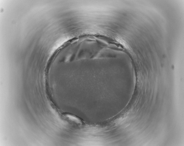 X0000088880626200706221815