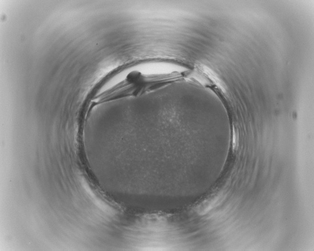 X0000088880627200706221815