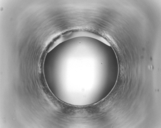 X0000088880628200706221815