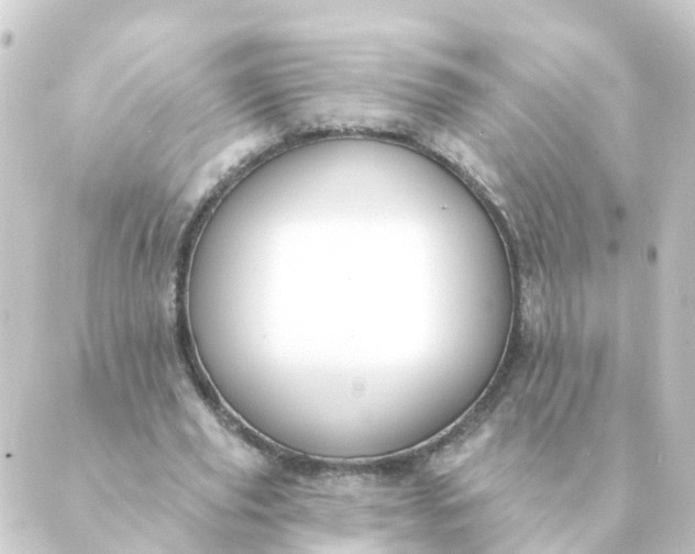 X0000088880629200706221815