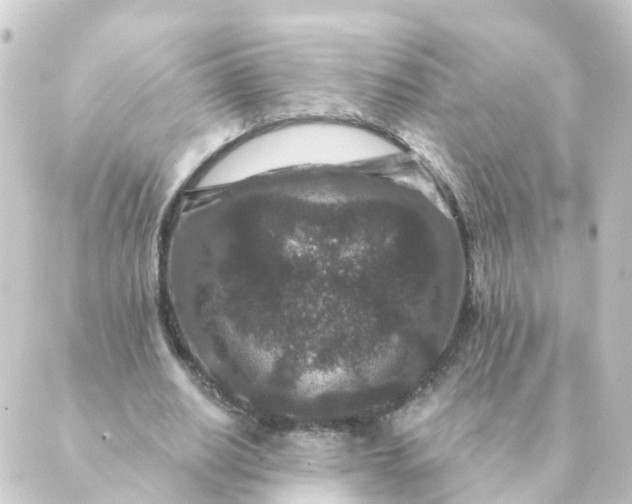 X0000088880630200706221815