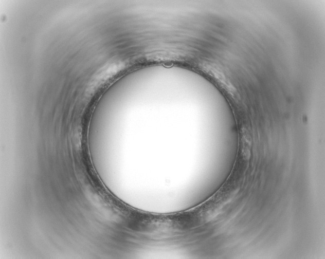 X0000088880631200706221815