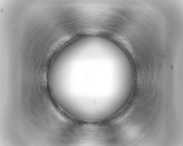 X0000088880633200706221815