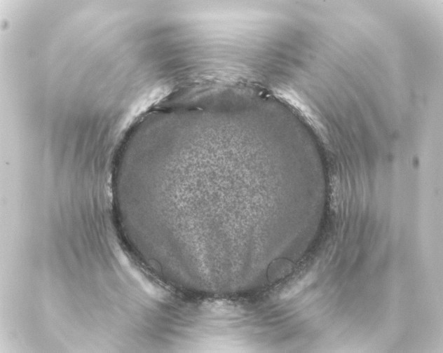 X0000088880634200706221815