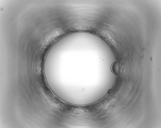 X0000088880635200706221815