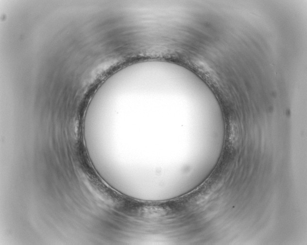 X0000088880636200706221815