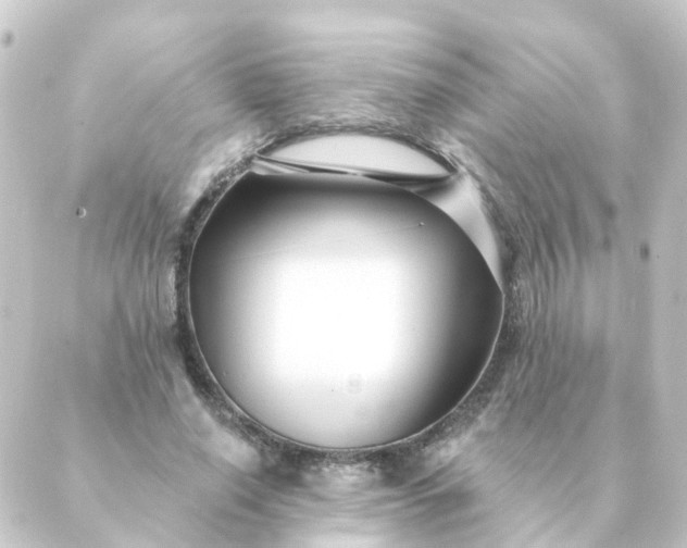 X0000088880638200706221815