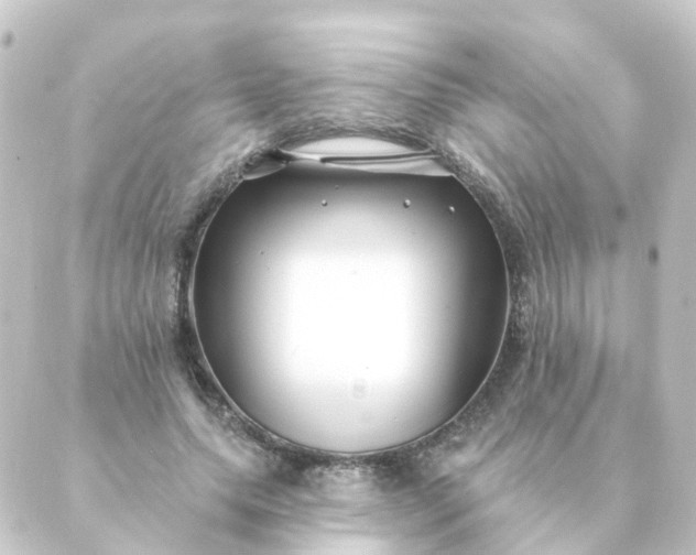 X0000088880639200706221815