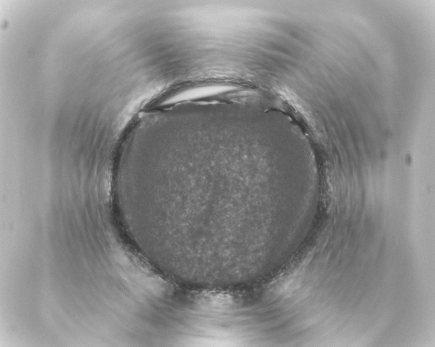 X0000088880640200706221815