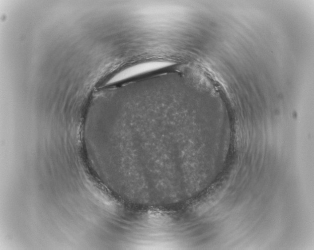 X0000088880641200706221815