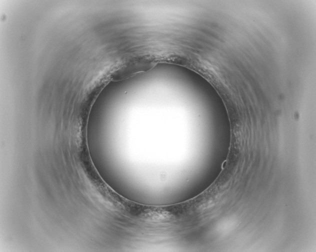 X0000088880642200706221815