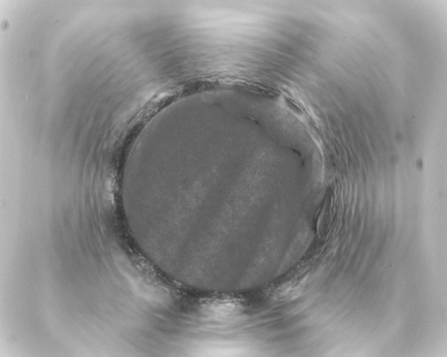 X0000088880643200706221815