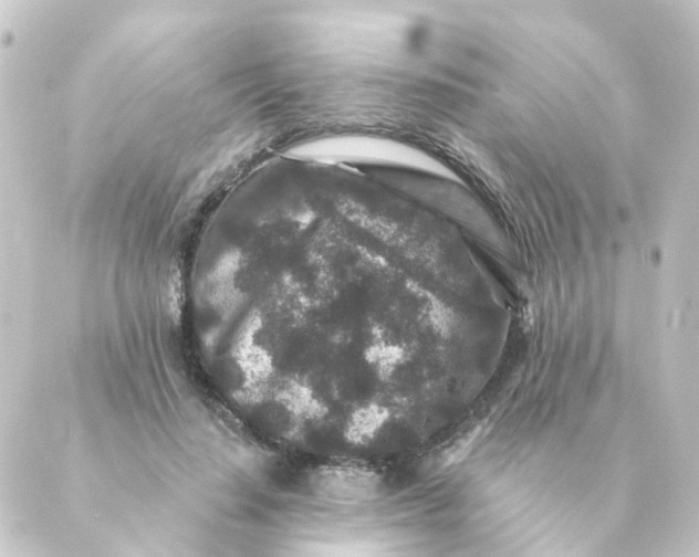 X0000088880644200706221815