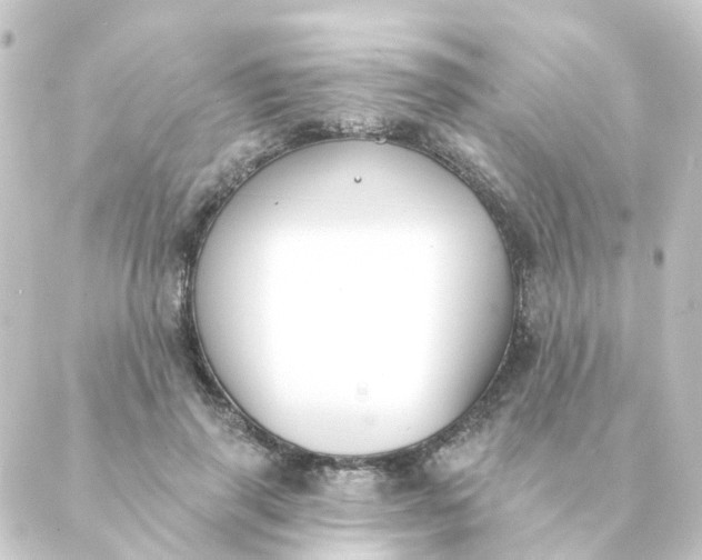 X0000088880645200706221815