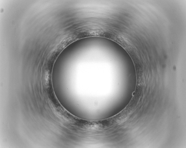 X0000088880646200706221815