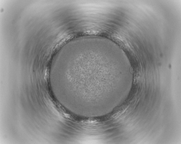 X0000088880647200706221815