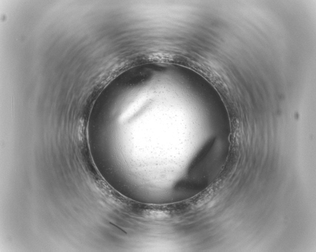 X0000088880649200706221816