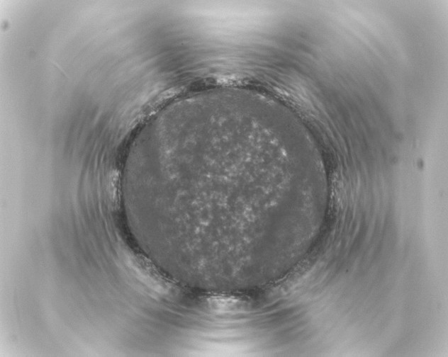 X0000088880650200706221816