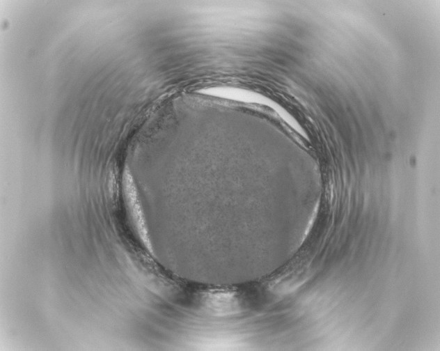 X0000088880651200706221816