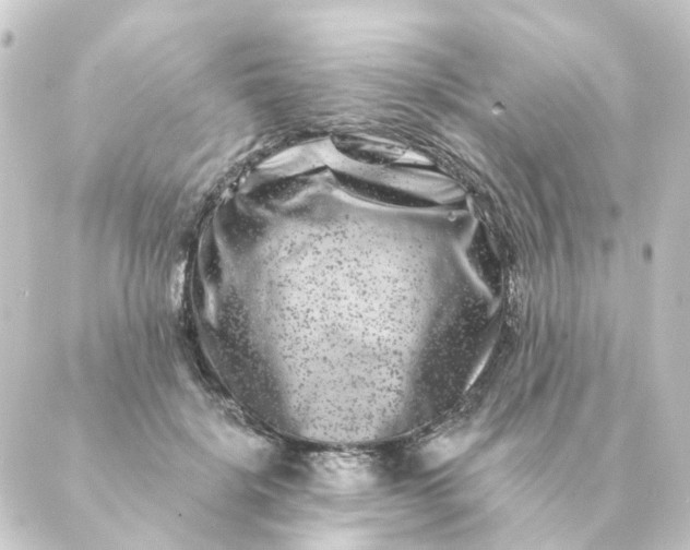 X0000088880652200706221816