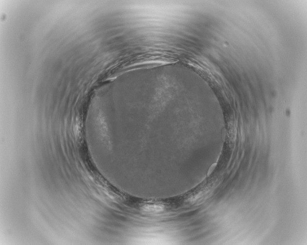 X0000088880653200706221816