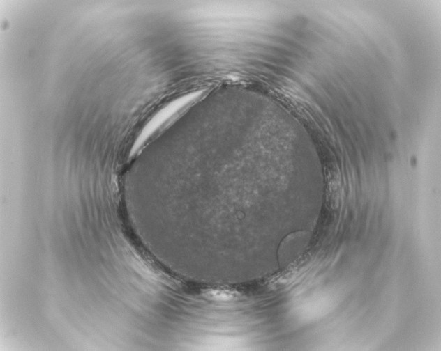 X0000088880654200706221816