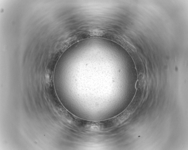 X0000088880655200706221816