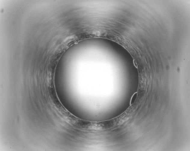 X0000088880656200706221816