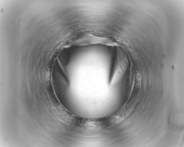 X0000088880657200706221816