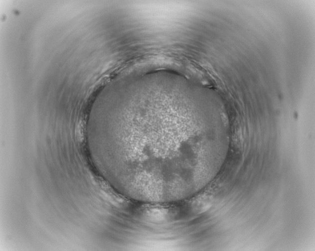 X0000088880658200706221816