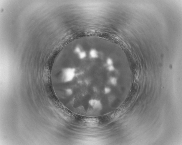 X0000088880659200706221816